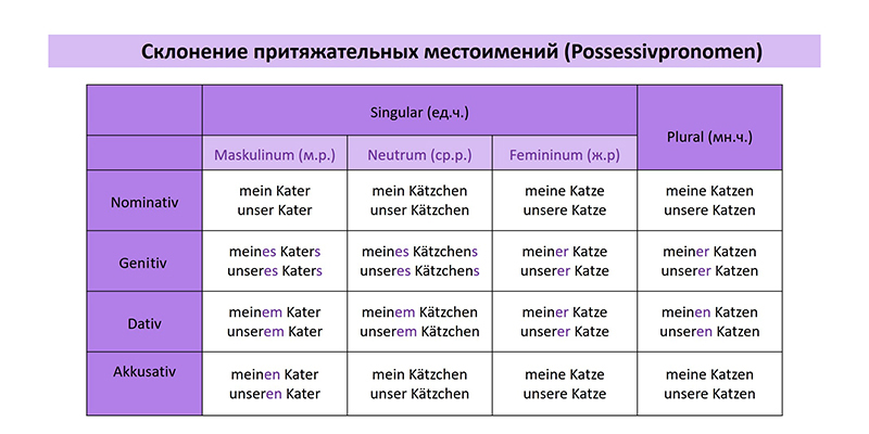 Склонение притяжательных местоимений в немецком, таблица