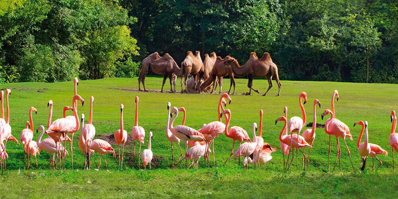 Tierpark Berlin