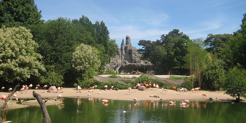 Hagenbeck