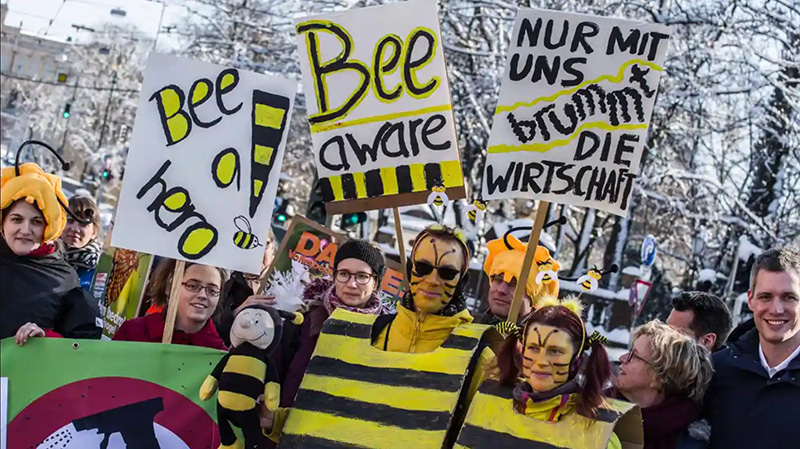 Демонстрация по защите пчел в Германии