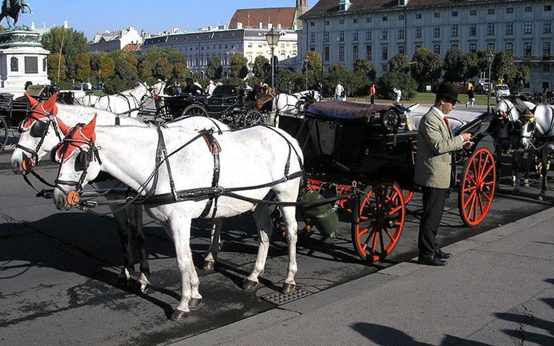 Лошади на площади Вены